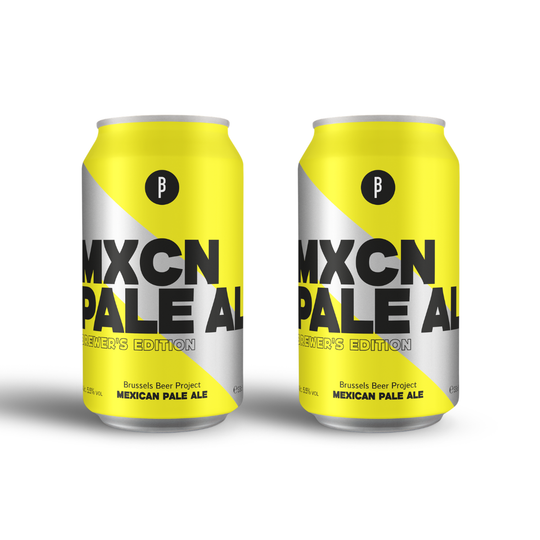 MXCN PALE ALE Can 33cl x 2
