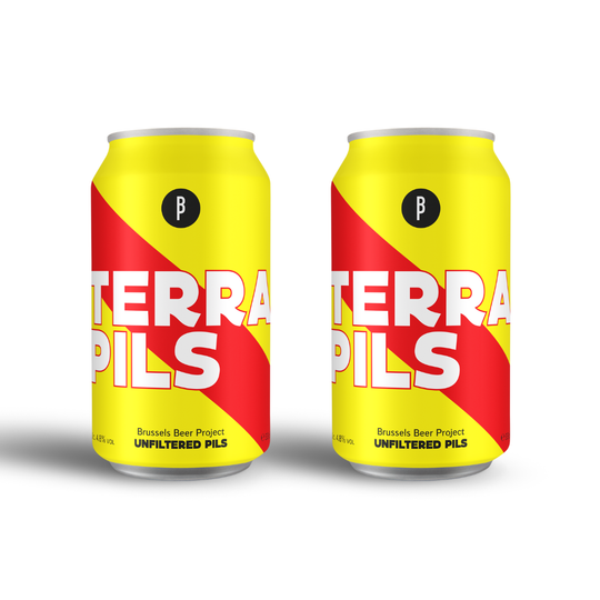 Terra Pils Can 33cl x 2